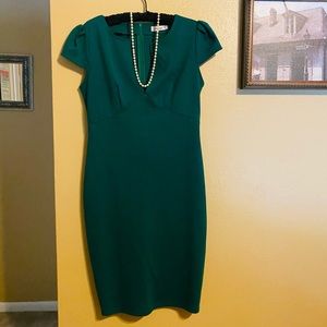 Sexy wiggle Dress-Never Worn